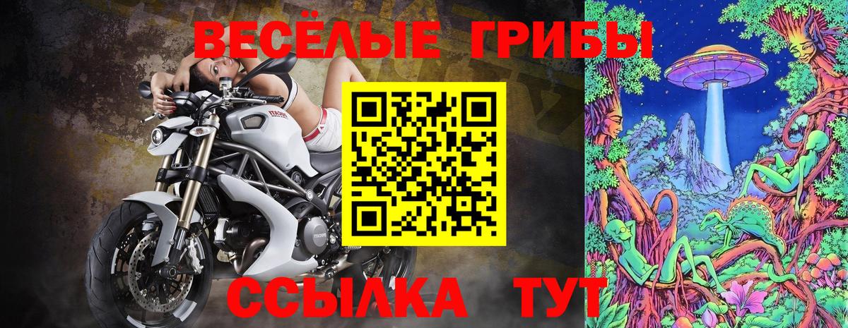 Псилоцибиновые грибы ЛСД  Вход с VPN  Красноармейск  Галлюциногенные грибы Magic Shrooms 